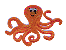 octopus Image